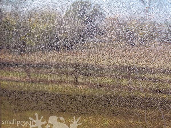 photo_droplets